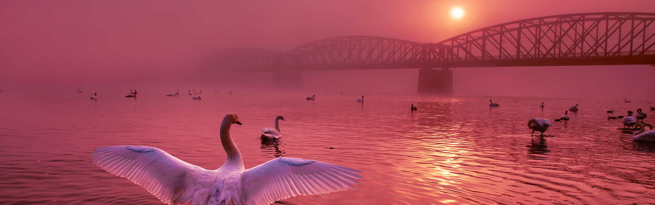 Exposition « Toute la beauté de Prague » - Peter Cech