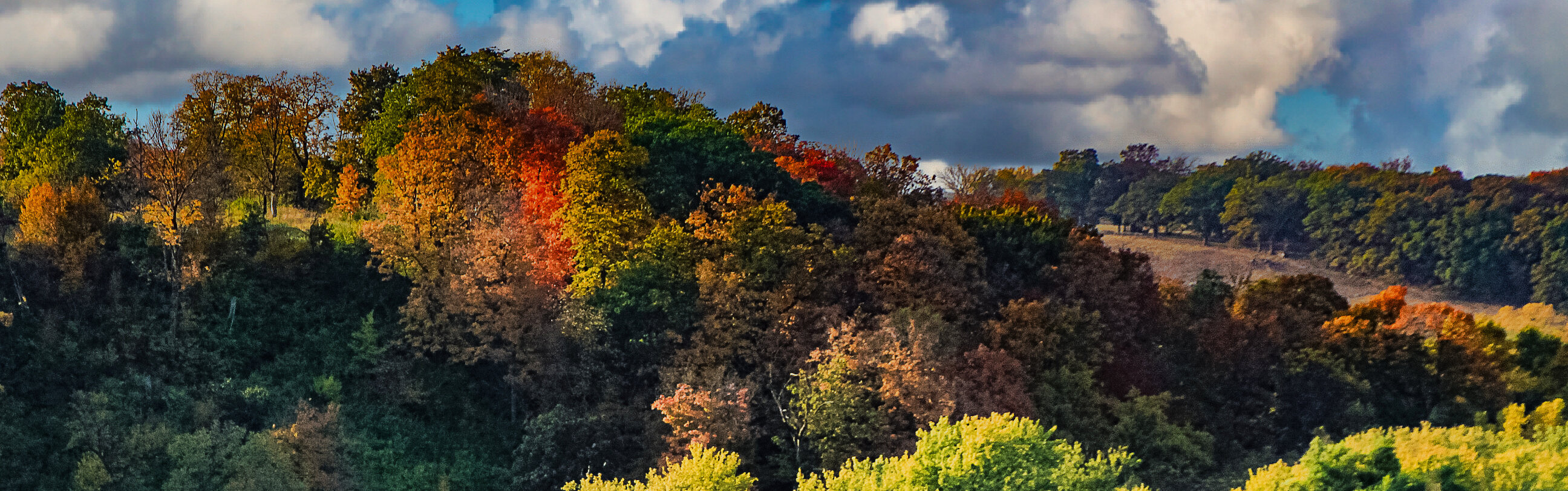 Exposición Arte en el Cinturón Verde 2025 - Mandy Steinfeldt