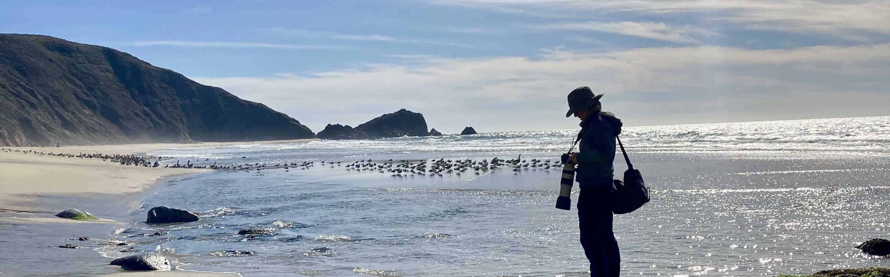 Exposición Salón de artes de la ciudad de Embrun - Max Levine