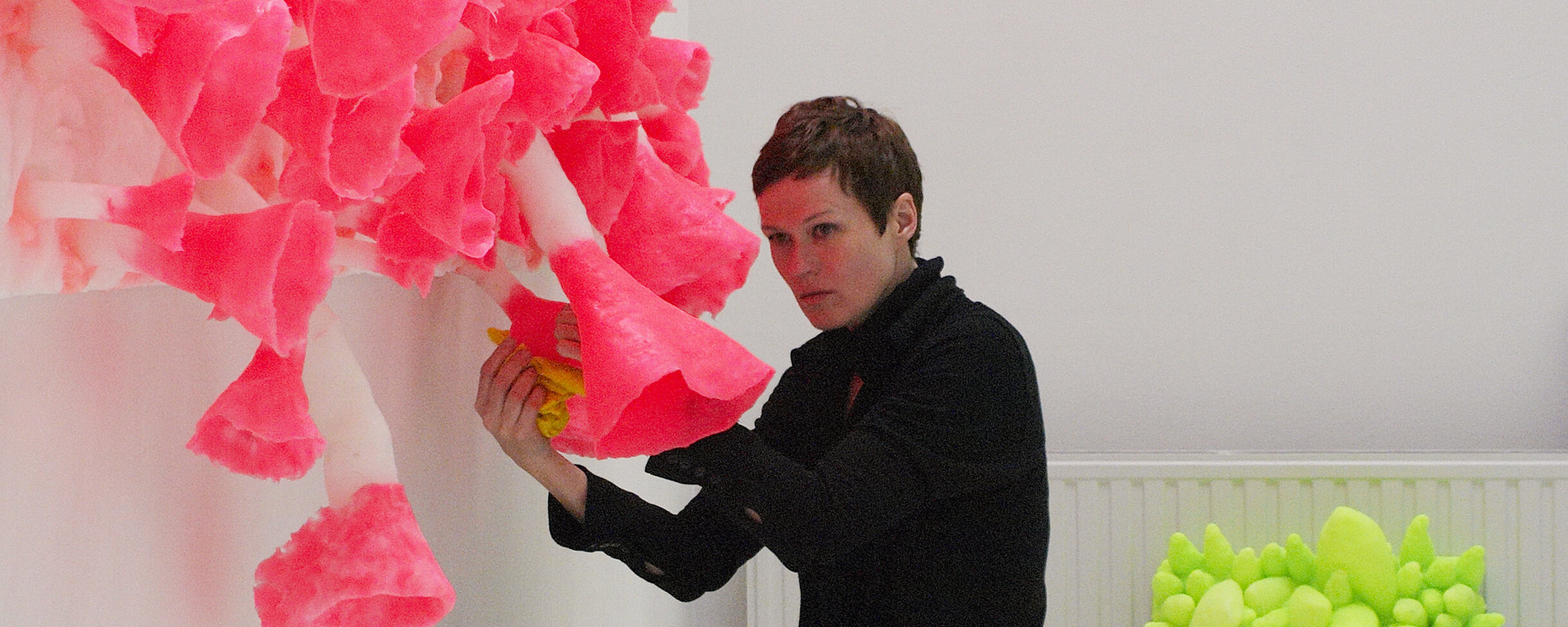 Exposición: Terrenos deslumbrantes, campos desconcertantes - Barbara Koch