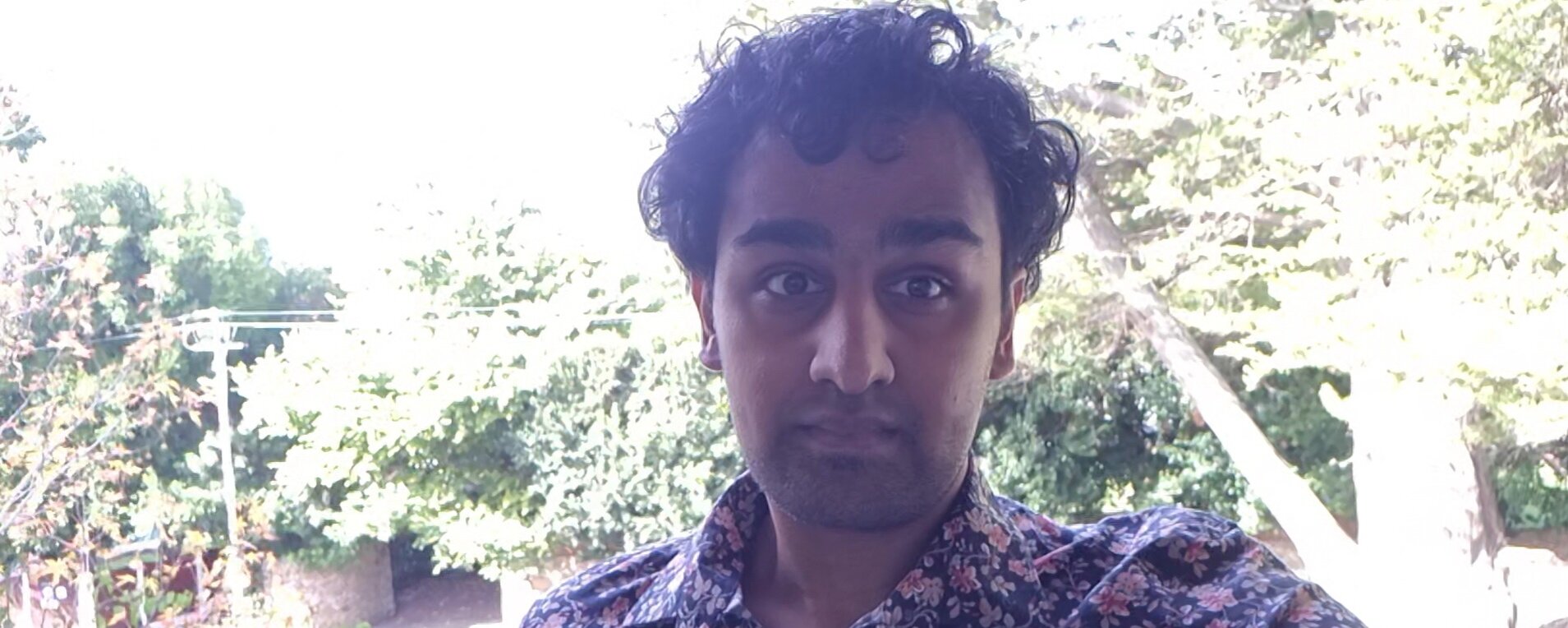 Exposition du Festival national des arts, Afrique du Sud - Tasvir Desai