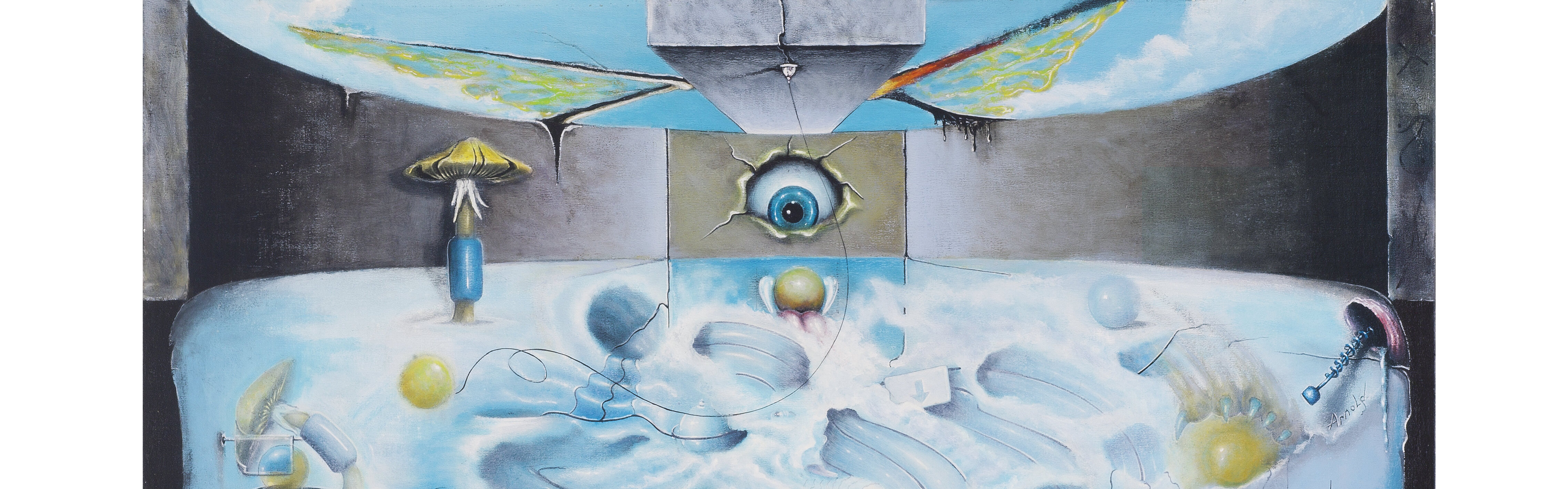 Exposición El cielo alucinatorio - Arnold Janssen