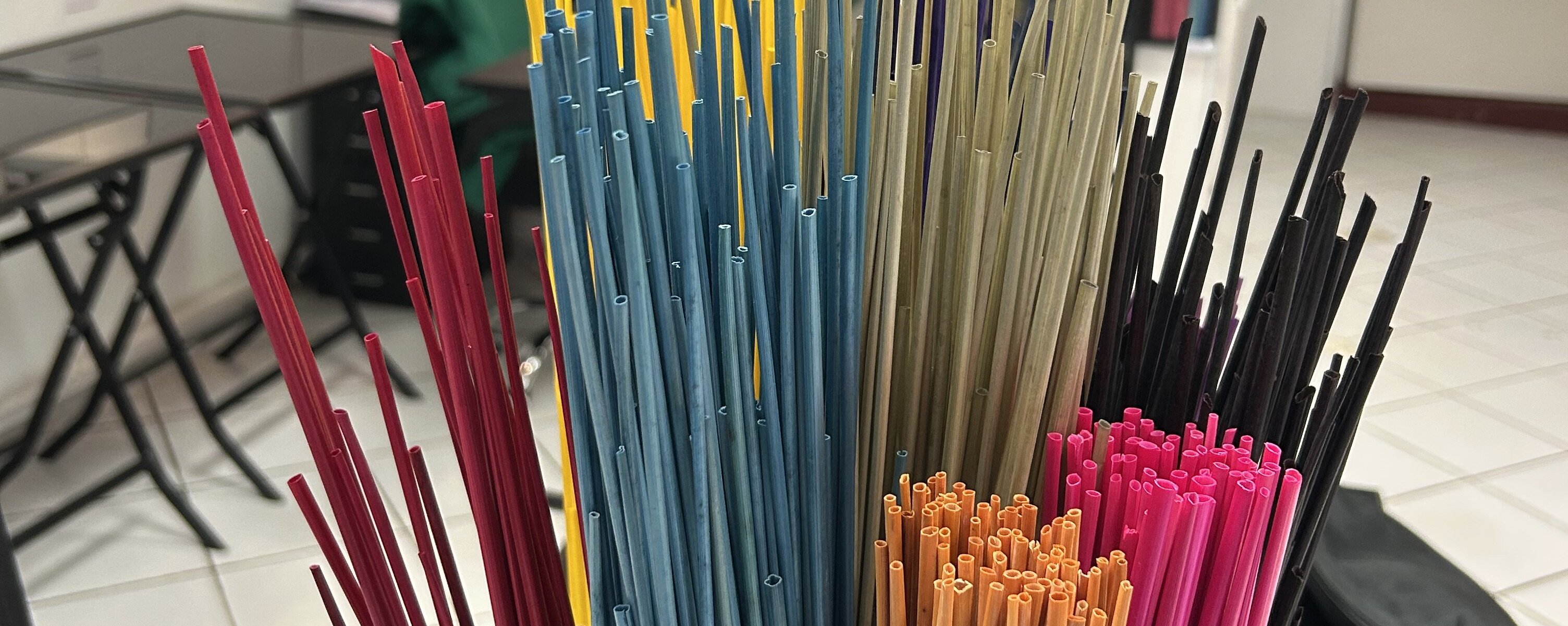 Exposición Esencias creativas - Sébastien Gavazzi