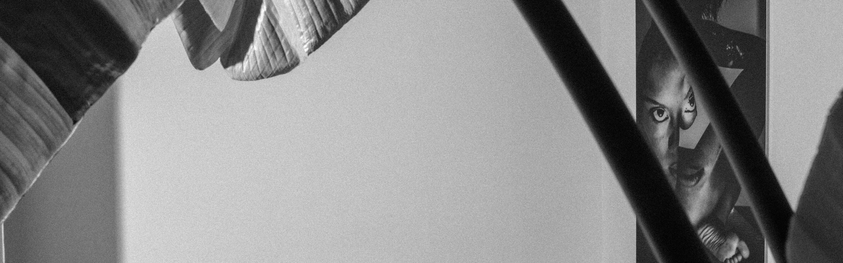 Exposición Blosson Time - Robin Cerutti