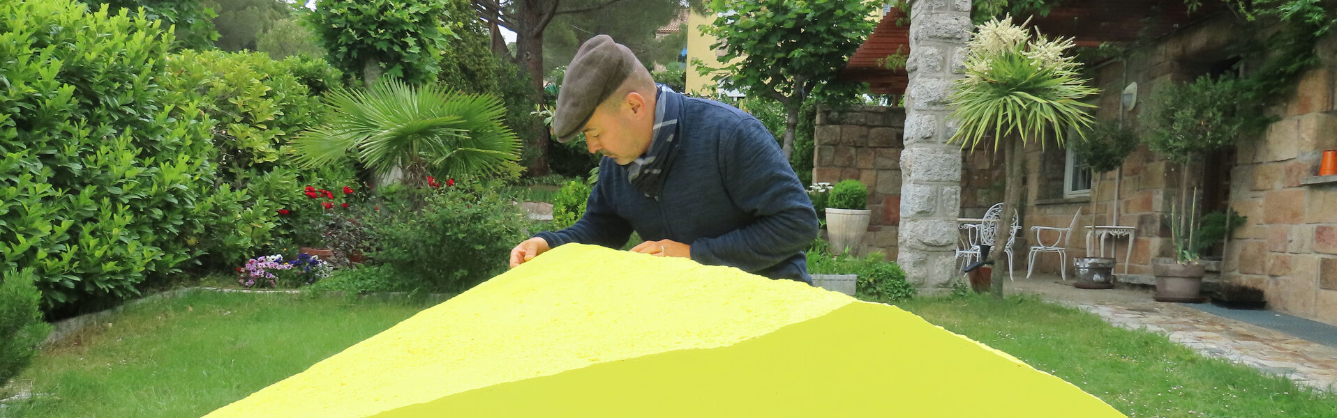 Pin Vega Art for Sale