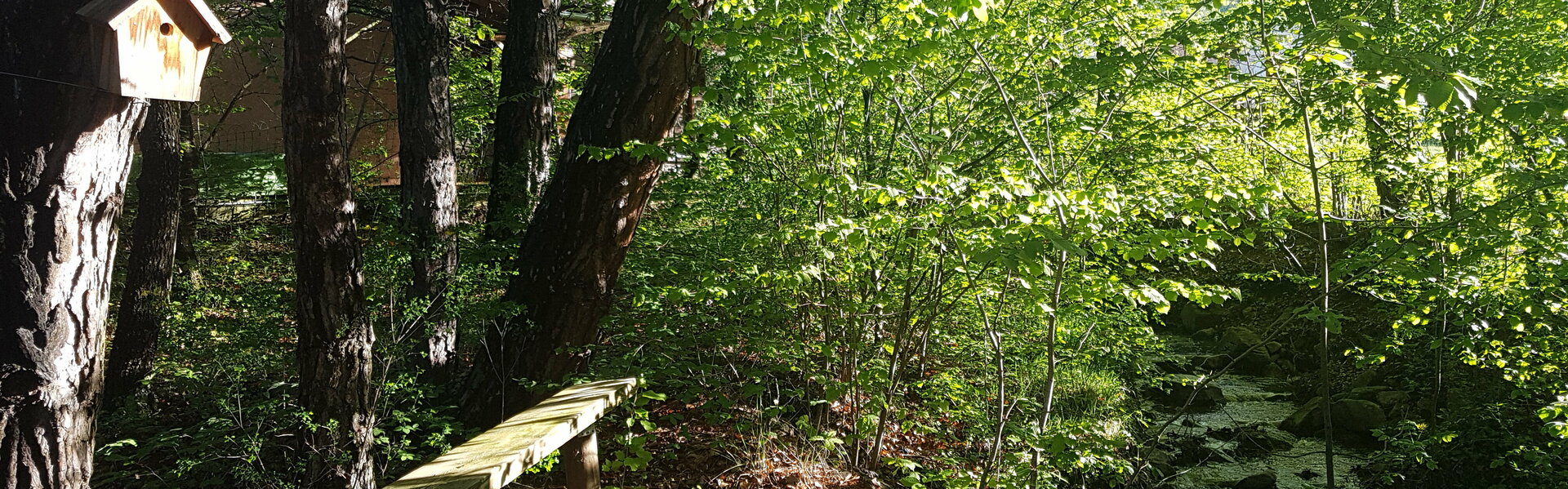 Laurent Bergues Art for Sale