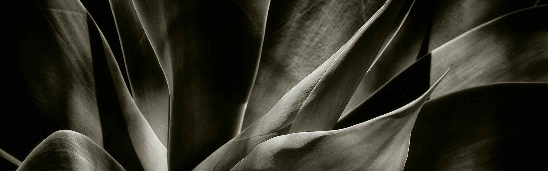 Jo Schmid Kunst te koop