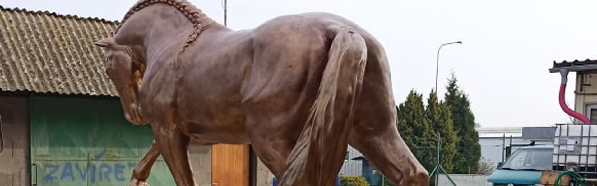 Marie Madej Art for Sale