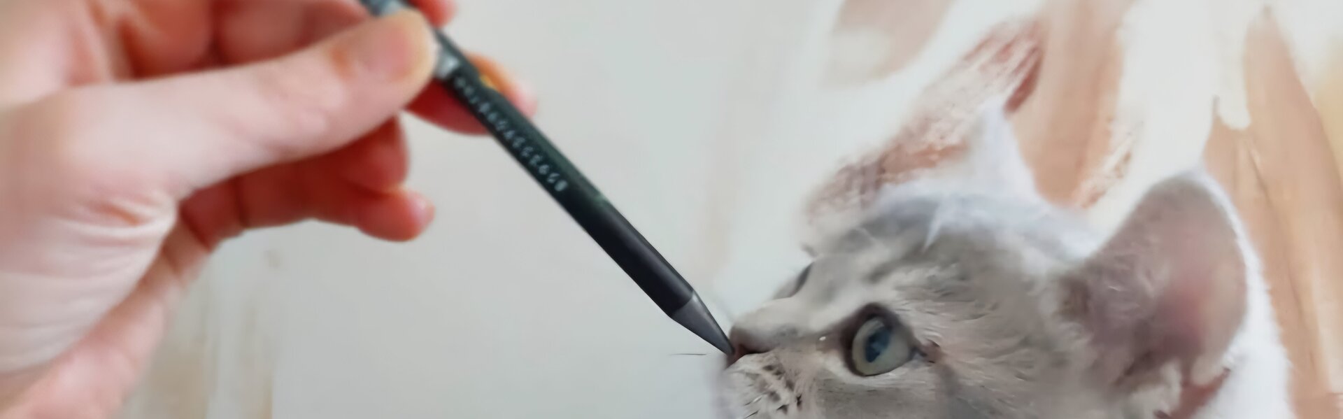 Carolina Polara Kunst te koop