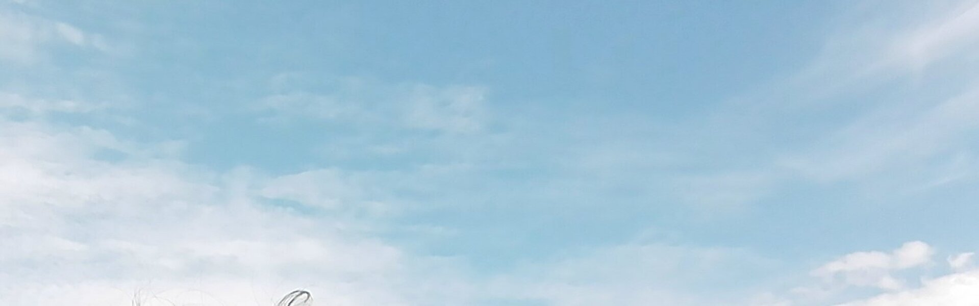 Corinne Pages Opere d'arte in vendita