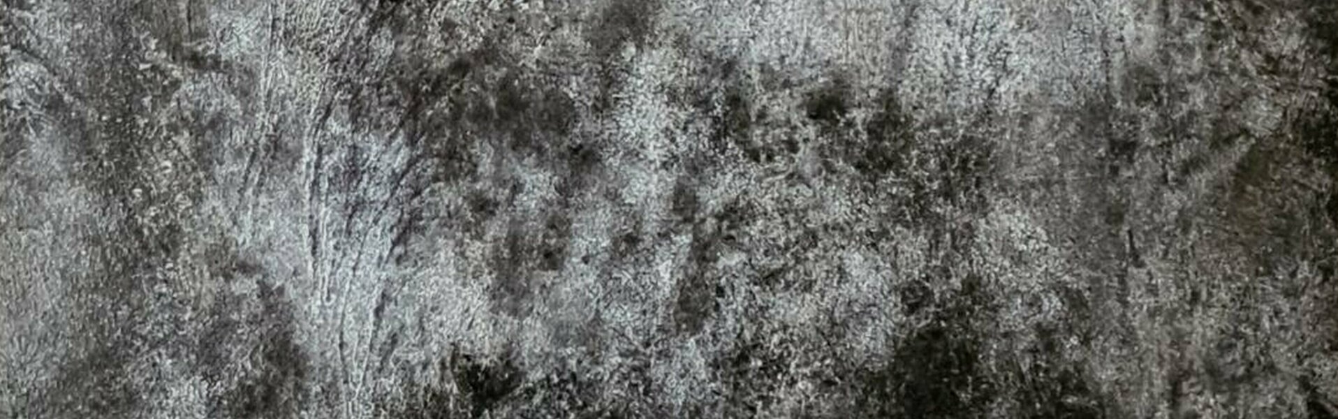 Iliana Tosheva Kunst te koop