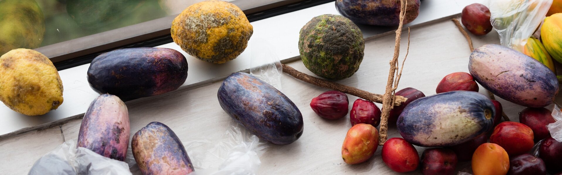 Wolfgang Tillmans Kunst te koop