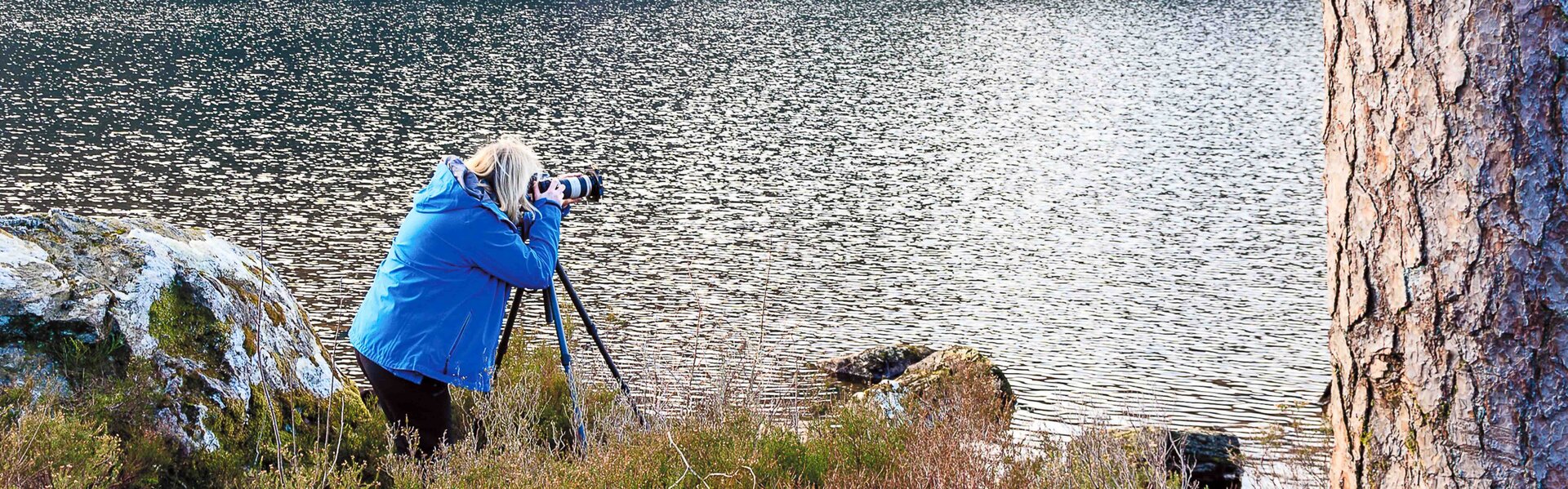 Lynne Douglas Art for Sale