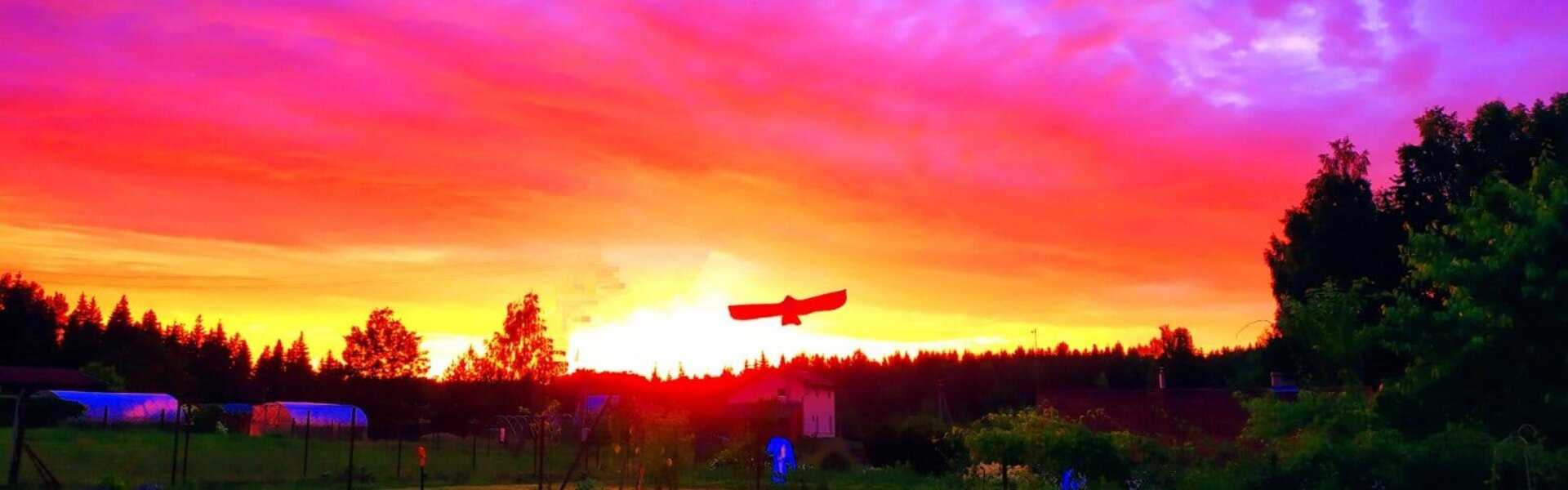 Nano 7 Swiss Kunst kaufen