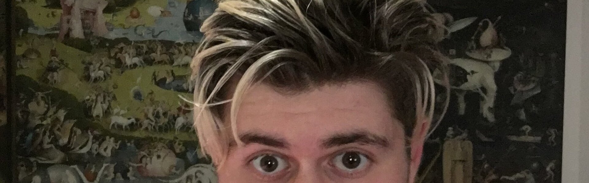 Guillaume Maes Art for Sale