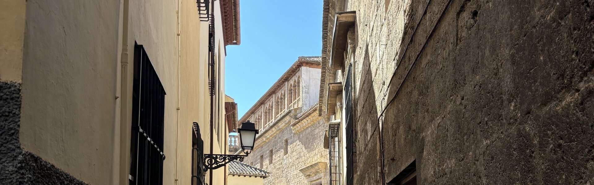 Julia Analena Hollmann Opere d'arte in vendita