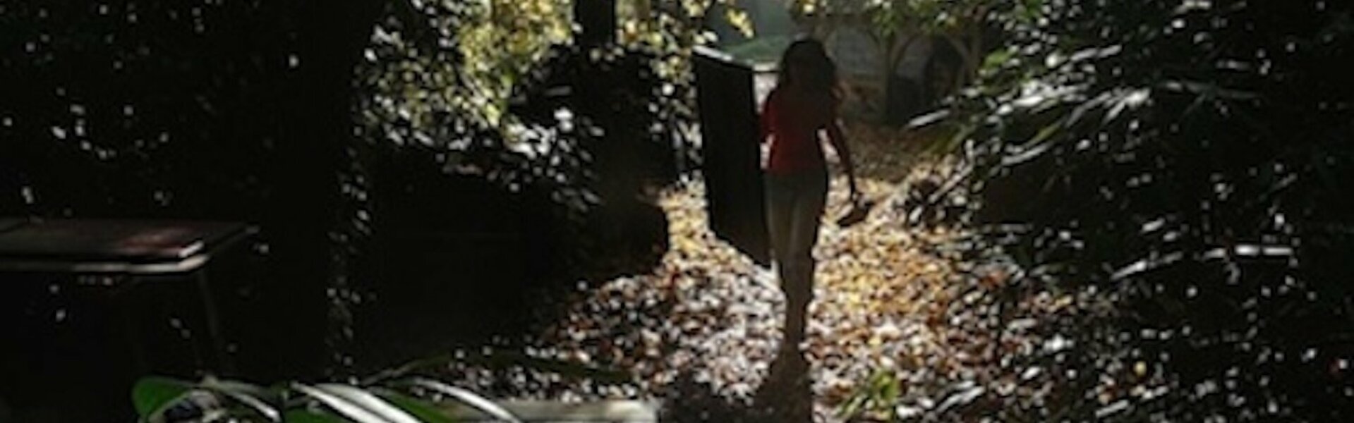 Kalpana Soanes Kunst te koop