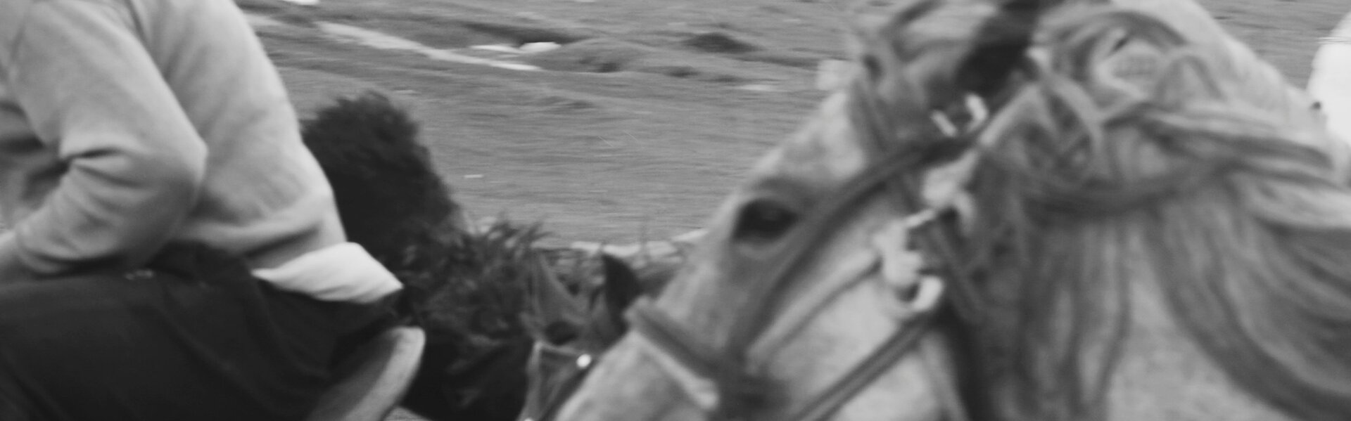 Magdalena Wittmann Arte en venta