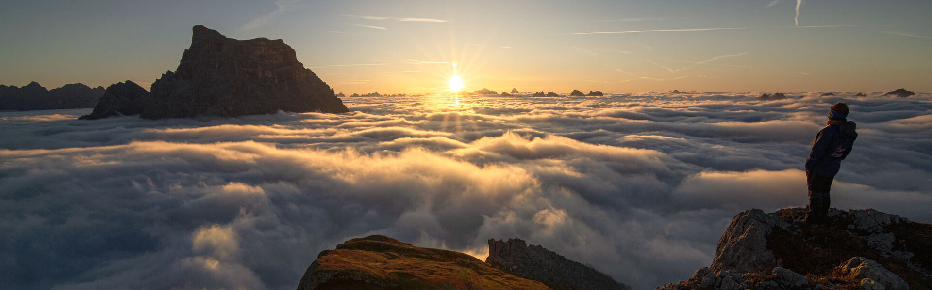 Andrea Sagui Art for Sale