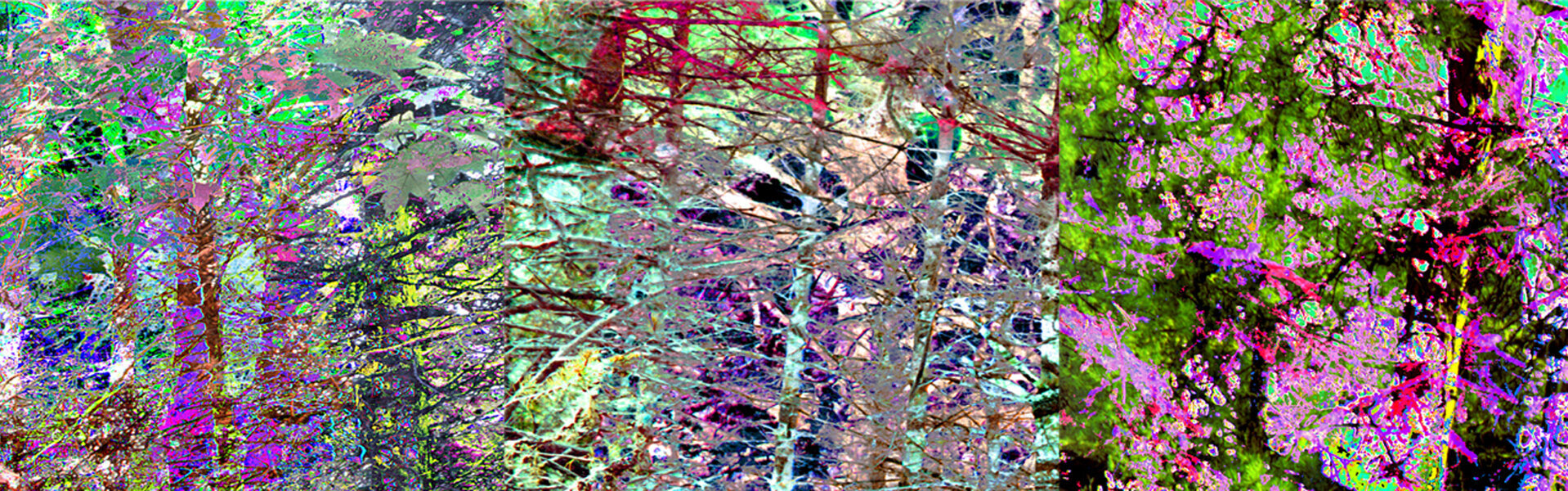 Martin Fahlen Kunst te koop