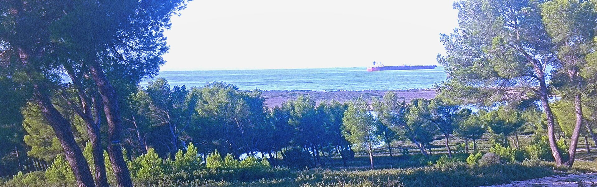 laetitia GUADAGNA ASCIAK Kunst te koop