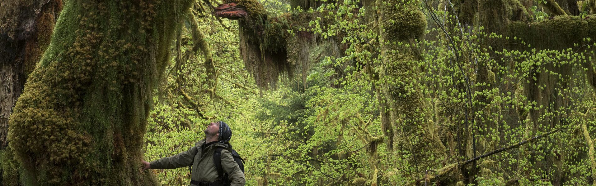 Frédéric Demeuse Kunst te koop