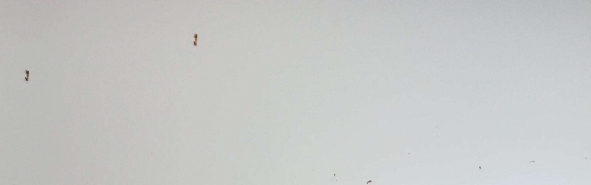 Anne-Marie Molénat-Ponté Kunst te koop