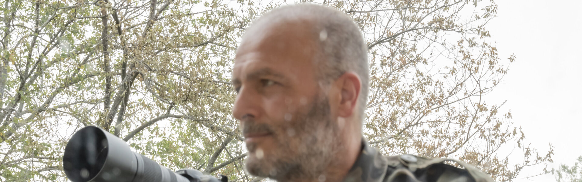 Carlo Zoppi Kunst te koop