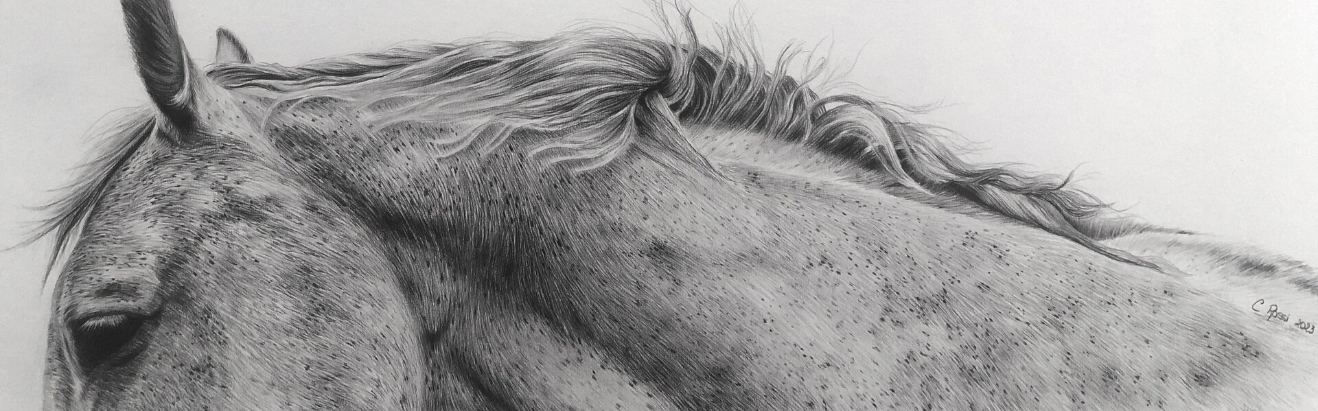 Chris Rossi Kunst kaufen