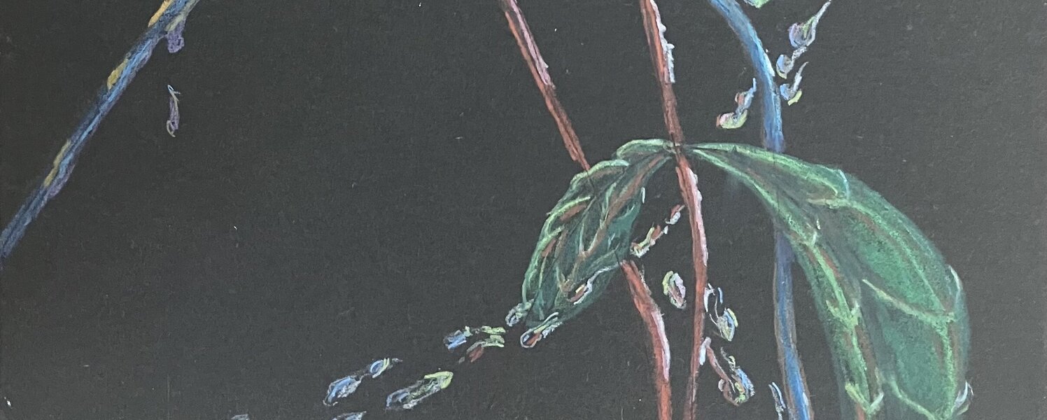 Jens-Jakob Tinghuus Kunst kaufen