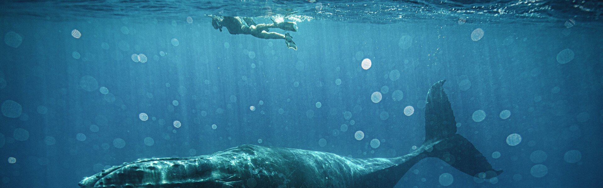 Evgeny Maklakov Arte en venta