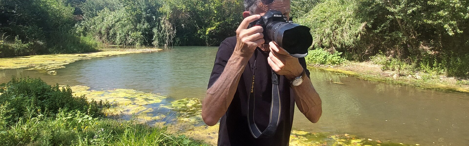 PETER WOODBURN Arte en venta