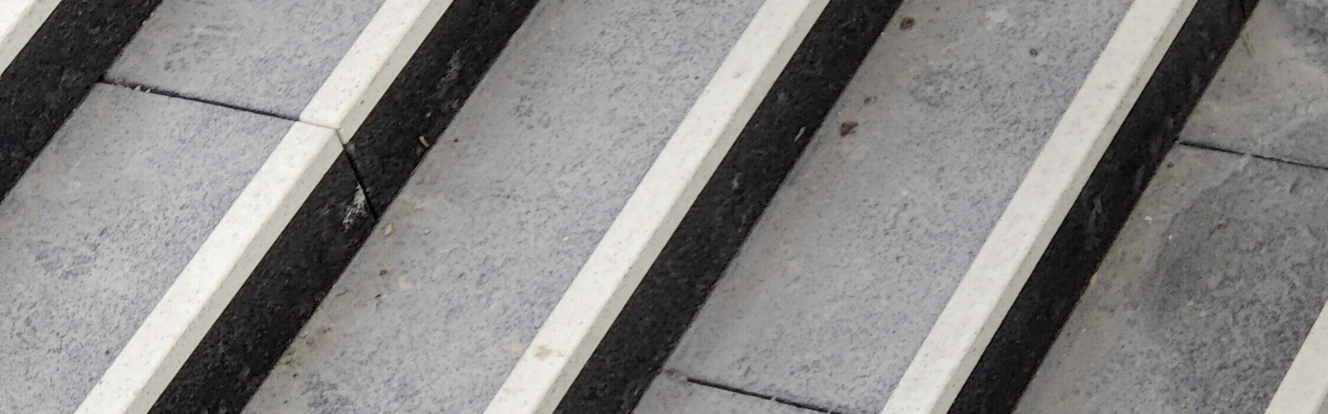 Ezra Portent Kunst te koop