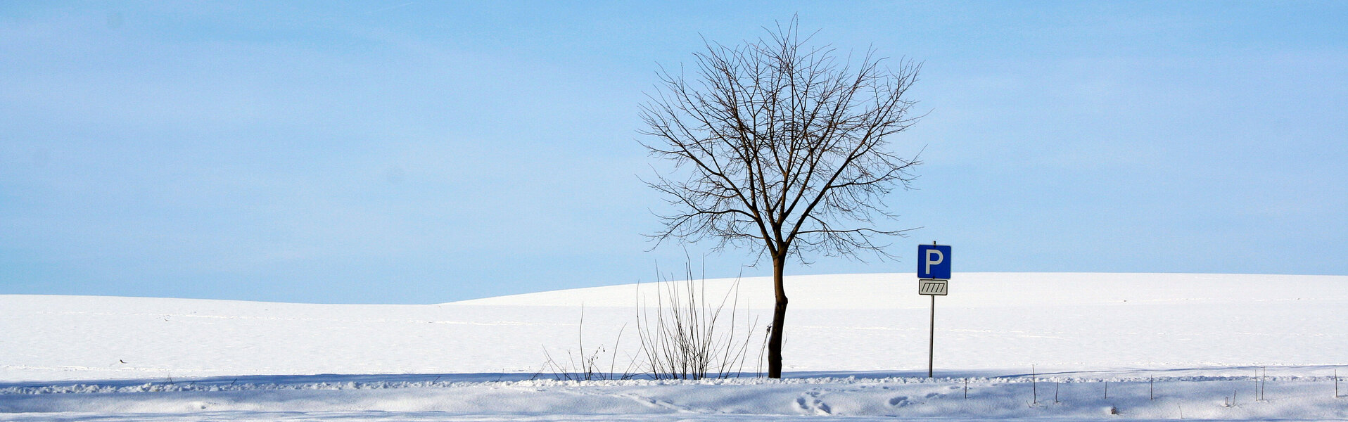 Annett Siviglia-Mann Kunst te koop