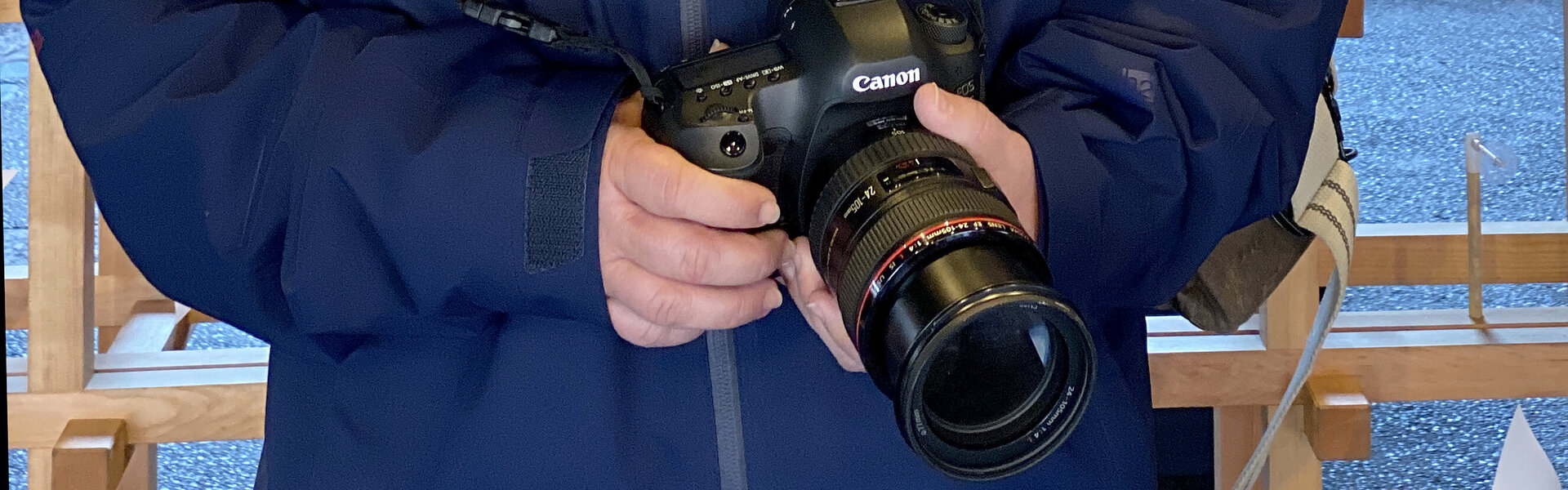 Carol Schiraldi Art for Sale