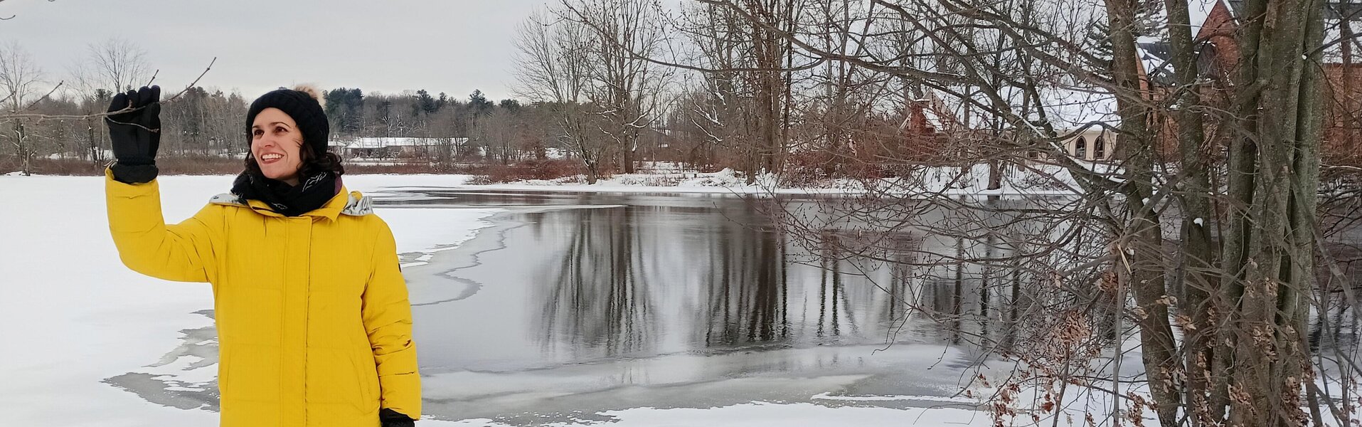 Analía Amaya Kunst te koop