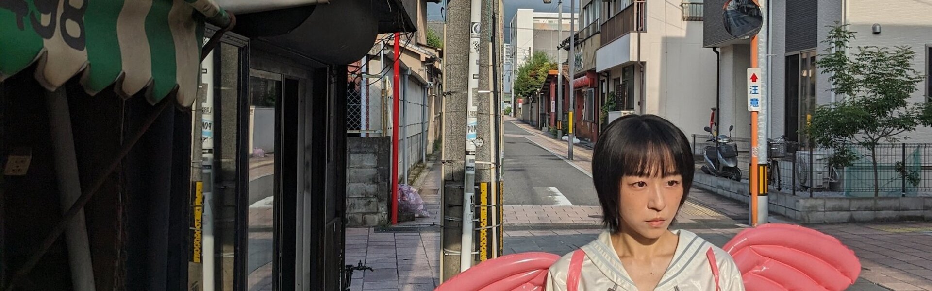 Kazune Shintaku: 画家 (日本) - Singulart