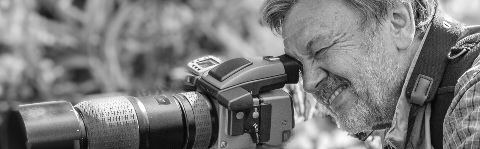 Walter Adler Kunst te koop