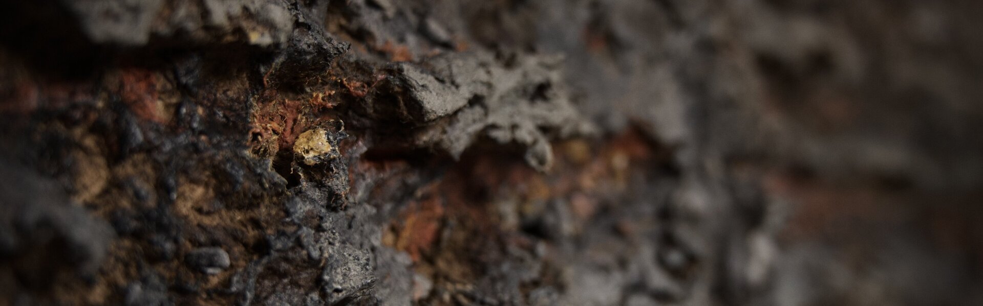 Natalia Tykhoniuk Art for Sale