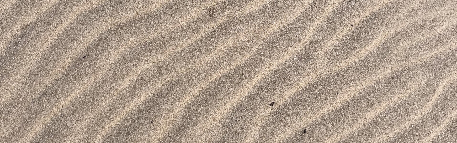 Sandra P.Garcia Kunst te koop