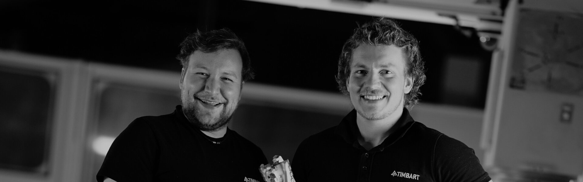 TIMBART Kunst te koop