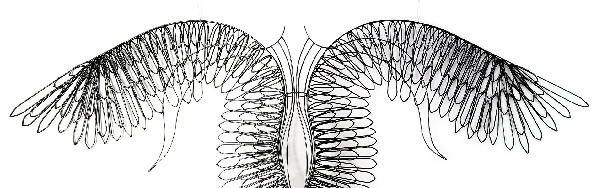 Albert Dura Kunst te koop