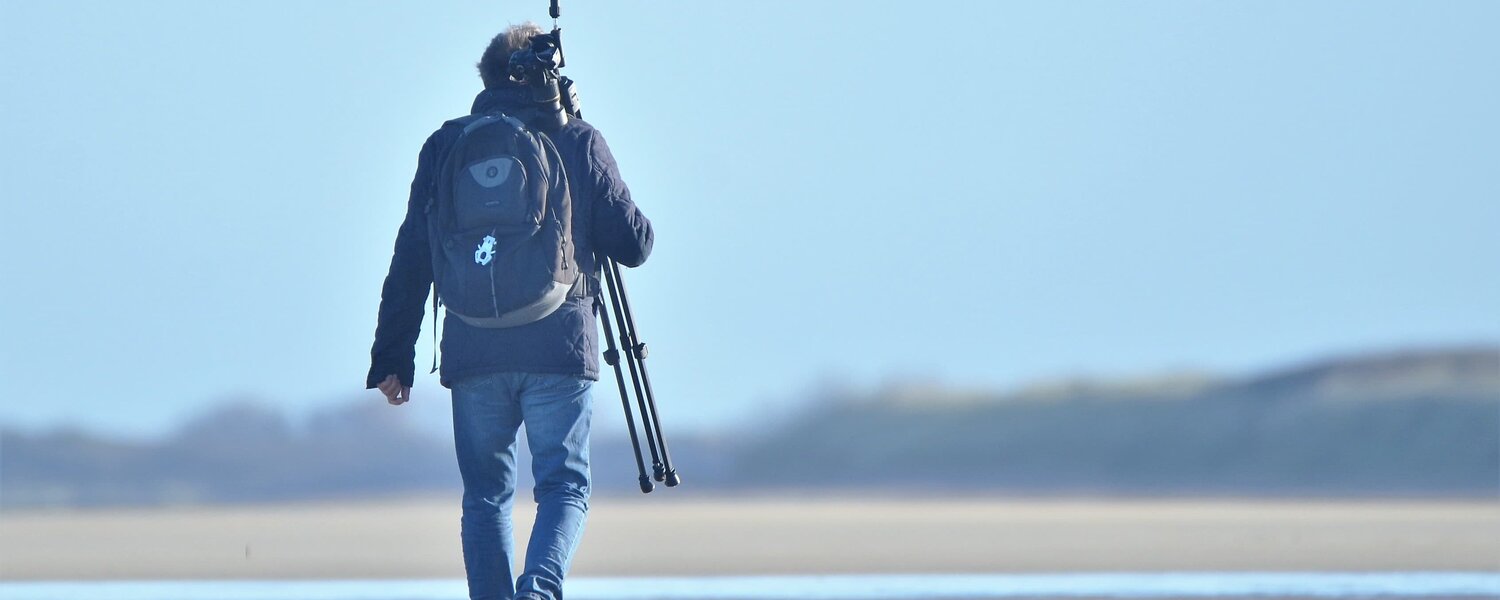 Verna Michel Opere d'arte in vendita