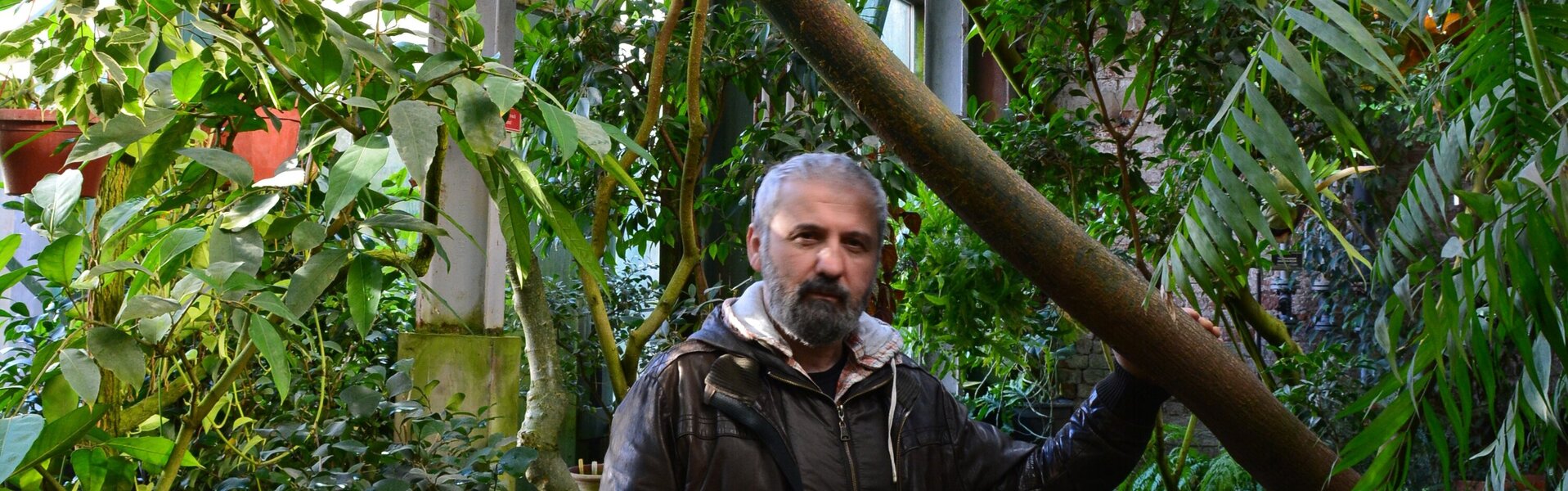 Badri Pachuliia Kunst te koop