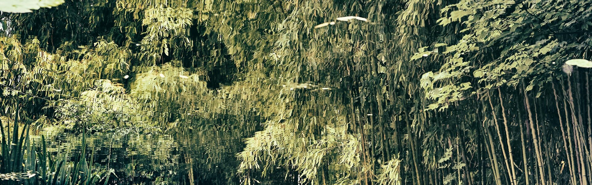 Edgar Mall Opere d'arte in vendita