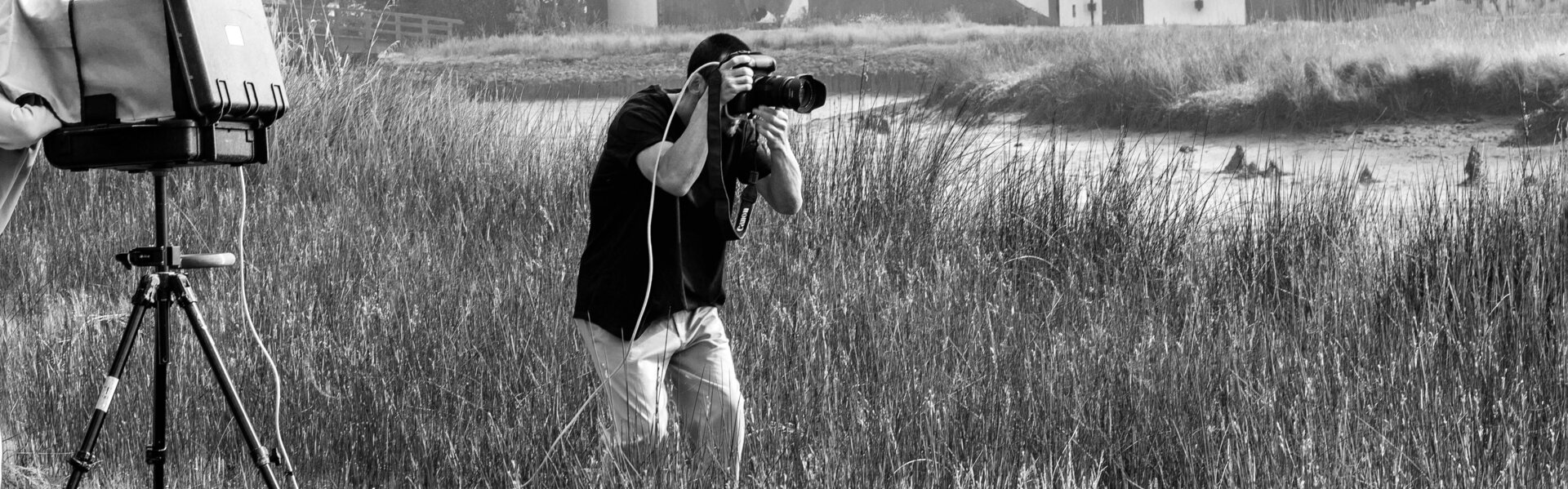 Carlos Teixeira Kunst te koop