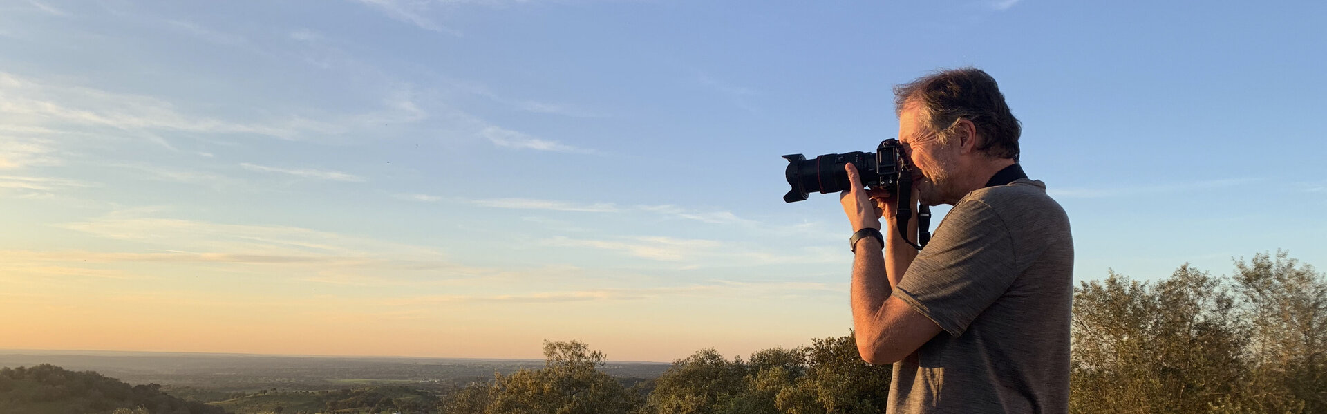 Roberto Vamos Kunst te koop