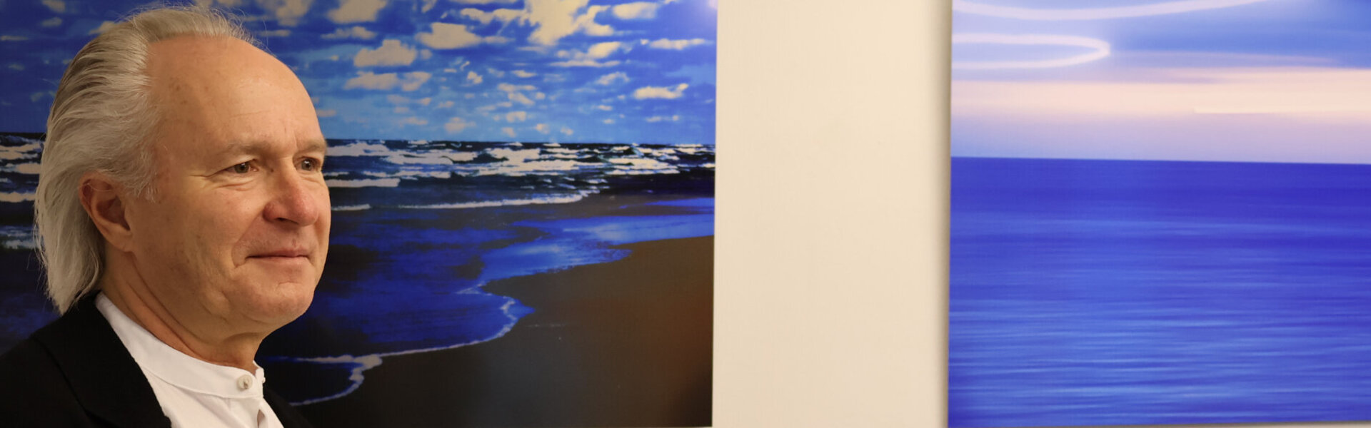 Amadeus Pichler Opere d'arte in vendita