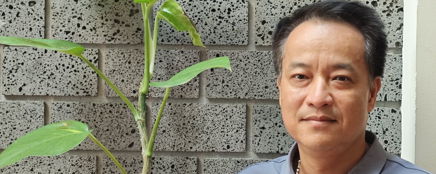Mai Xuan Phuc Kunst te koop