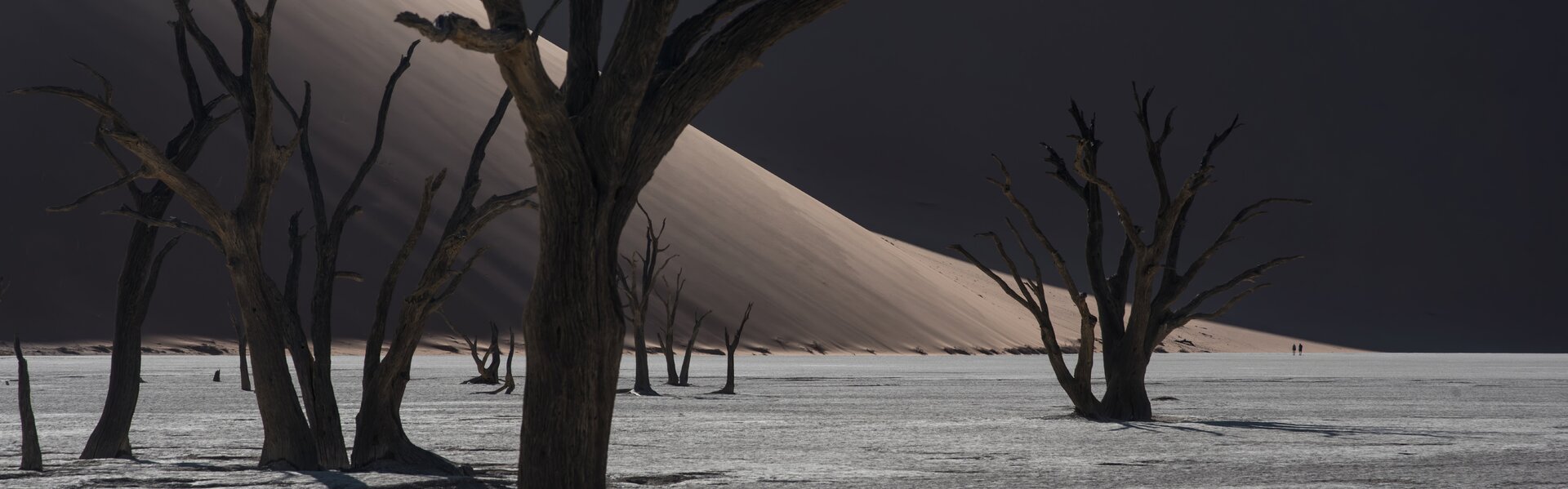 Michael Kleiser Opere d'arte in vendita